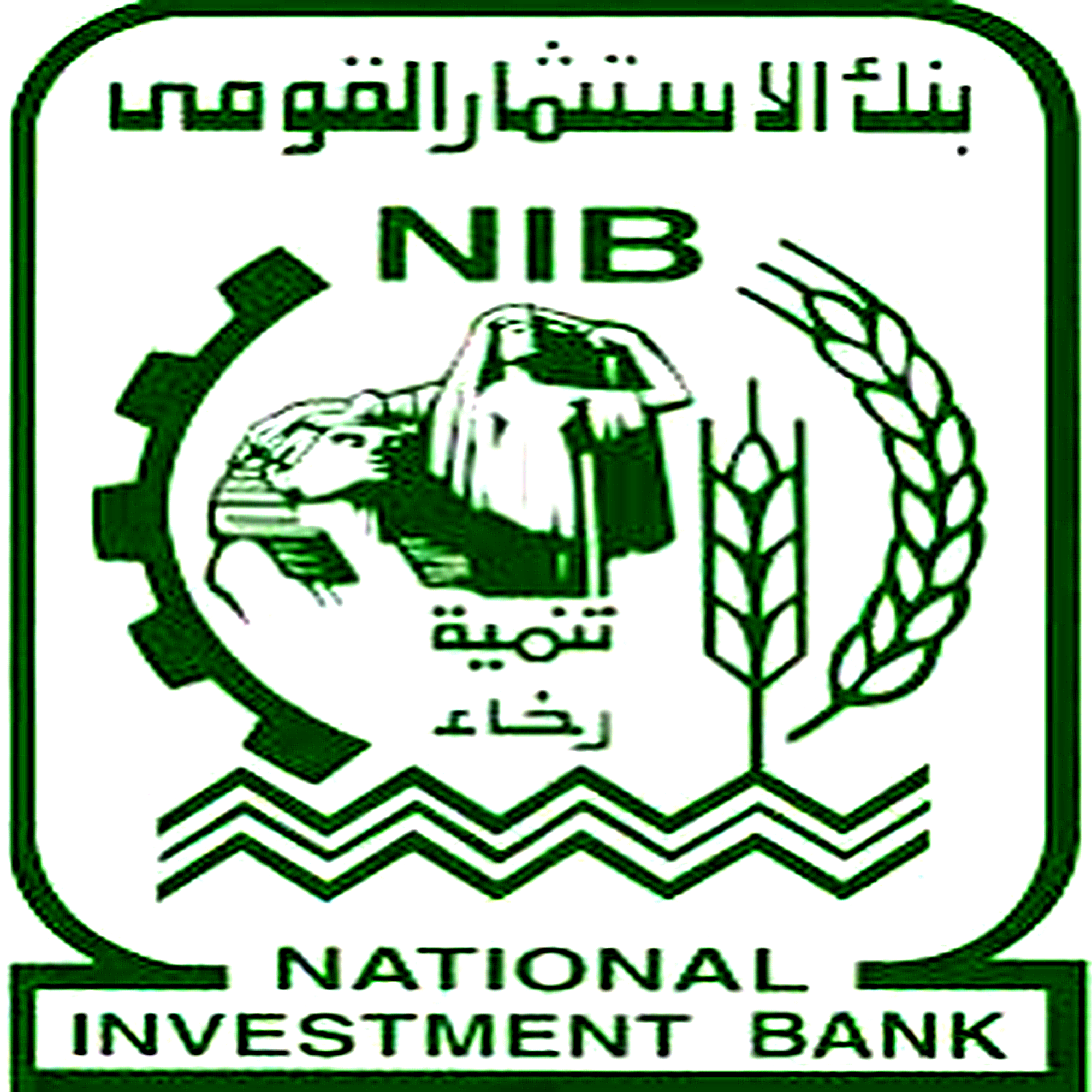 NIB logo